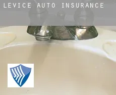 Levice auto insurance