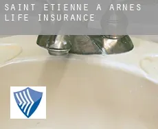 Saint-Étienne-à-Arnes  life insurance