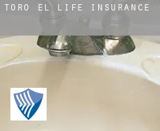 Toro (El)  life insurance