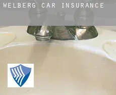 Welberg  car insurance