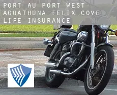 Port au Port West-Aguathuna-Felix Cove  life insurance