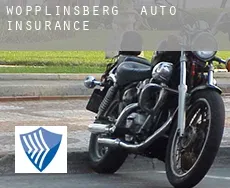 Wöpplinsberg  auto insurance