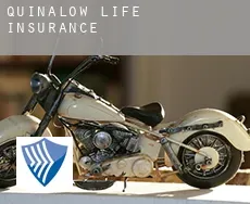 Quinalow  life insurance