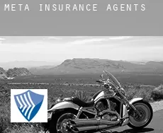 Meta  insurance agents