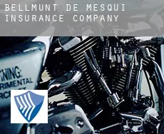 Bellmunt de Mesquí / Belmonte de San José  insurance company
