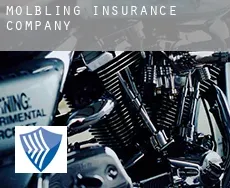 Mölbling  insurance company