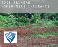 Bois-Bruneau  homeowners insurance