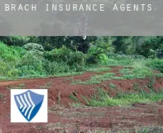 Brach  insurance agents