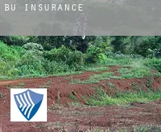 Bû  insurance