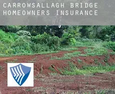 Carrowsallagh Bridge  homeowners insurance
