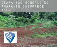 São Gonçalo do Amarante (Ceará)  insurance agents