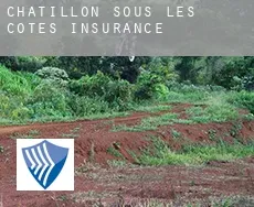 Châtillon-sous-les-Côtes  insurance