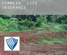 Commeen  life insurance