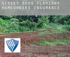 Gissey-sous-Flavigny  homeowners insurance