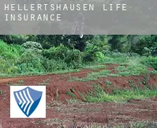 Hellertshausen  life insurance