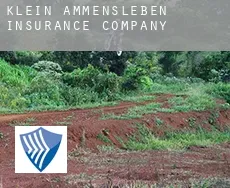 Klein Ammensleben  insurance company