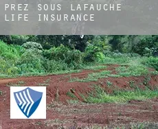 Prez-sous-Lafauche life insurance