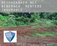 Reichenbach bei Biberach  renters insurance