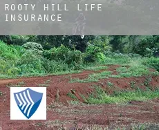 Rooty Hill  life insurance
