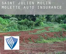 Saint-Julien-Molin-Molette  auto insurance