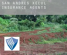 San Andrés Xecul  insurance agents