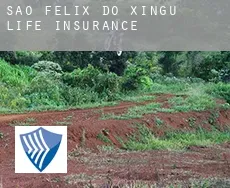 São Félix do Xingu  life insurance