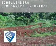 Schellenberg  homeowners insurance