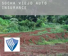 Socha Viejo auto insurance