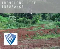 Tremeleuc  life insurance