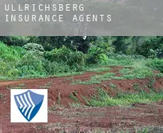Ullrichsberg  insurance agents