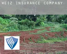 Politischer Bezirk Weiz  insurance company