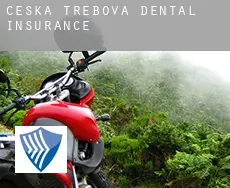 Česká Třebová  dental insurance