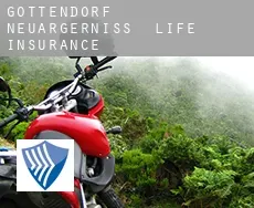 Göttendorf-Neuärgerniss  life insurance