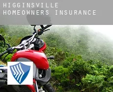 Higginsville  homeowners insurance
