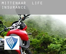 Mittenaar  life insurance