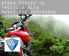 Other cities in Trujillo Alto Municipio  insurance agents