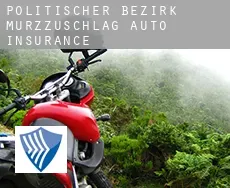 Politischer Bezirk Mürzzuschlag  auto insurance