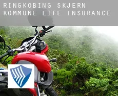 Ringkøbing-Skjern Kommune  life insurance