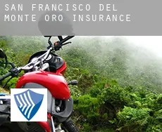 San Francisco del Monte de Oro  insurance
