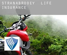 Stranabrooey  life insurance