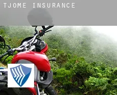 Tjøme  insurance