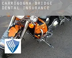 Carrigogna Bridge  dental insurance