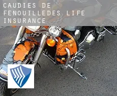 Caudiès-de-Fenouillèdes  life insurance