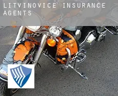 Litvínovice  insurance agents