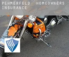 Pehmerfeld  homeowners insurance