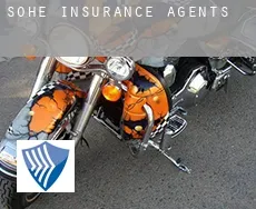 Sohe insurance agents