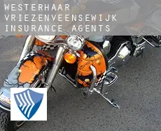 Westerhaar-Vriezenveensewijk  insurance agents