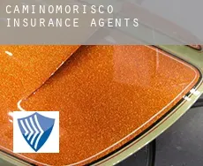Caminomorisco  insurance agents