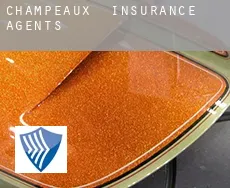 Champeaux  insurance agents