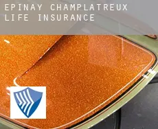 Épinay-Champlâtreux life insurance